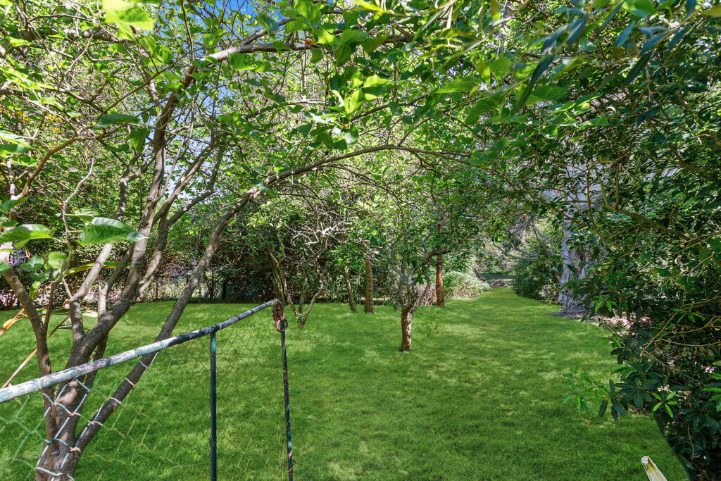 Sold - 56 Redman Avenue - New Property in Thirroul - Real Estate by Vanessa Denison-Pender