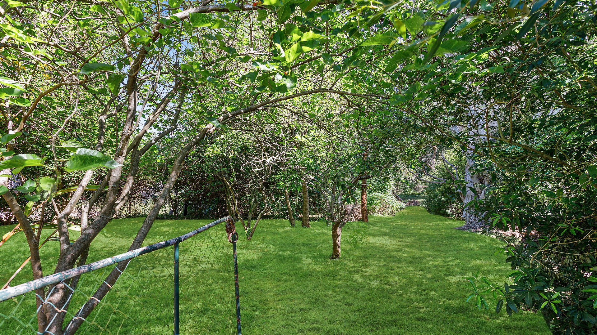 Sold - 56 Redman Avenue - New Property in Thirroul - Real Estate by Vanessa Denison-Pender