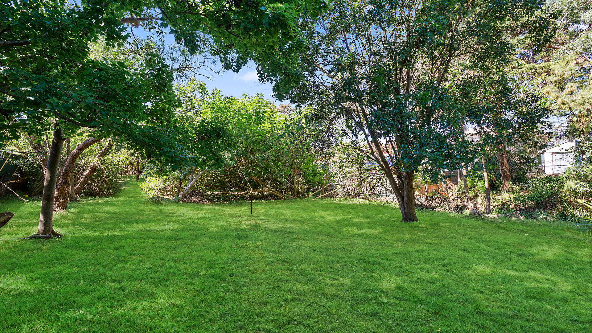 Sold - 56 Redman Avenue - New Property in Thirroul - Real Estate by Vanessa Denison-Pender