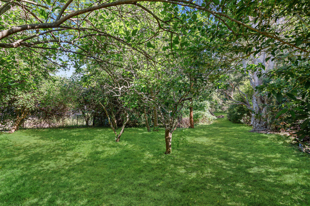 Sold - 56 Redman Avenue - New Property in Thirroul - Real Estate by Vanessa Denison-Pender