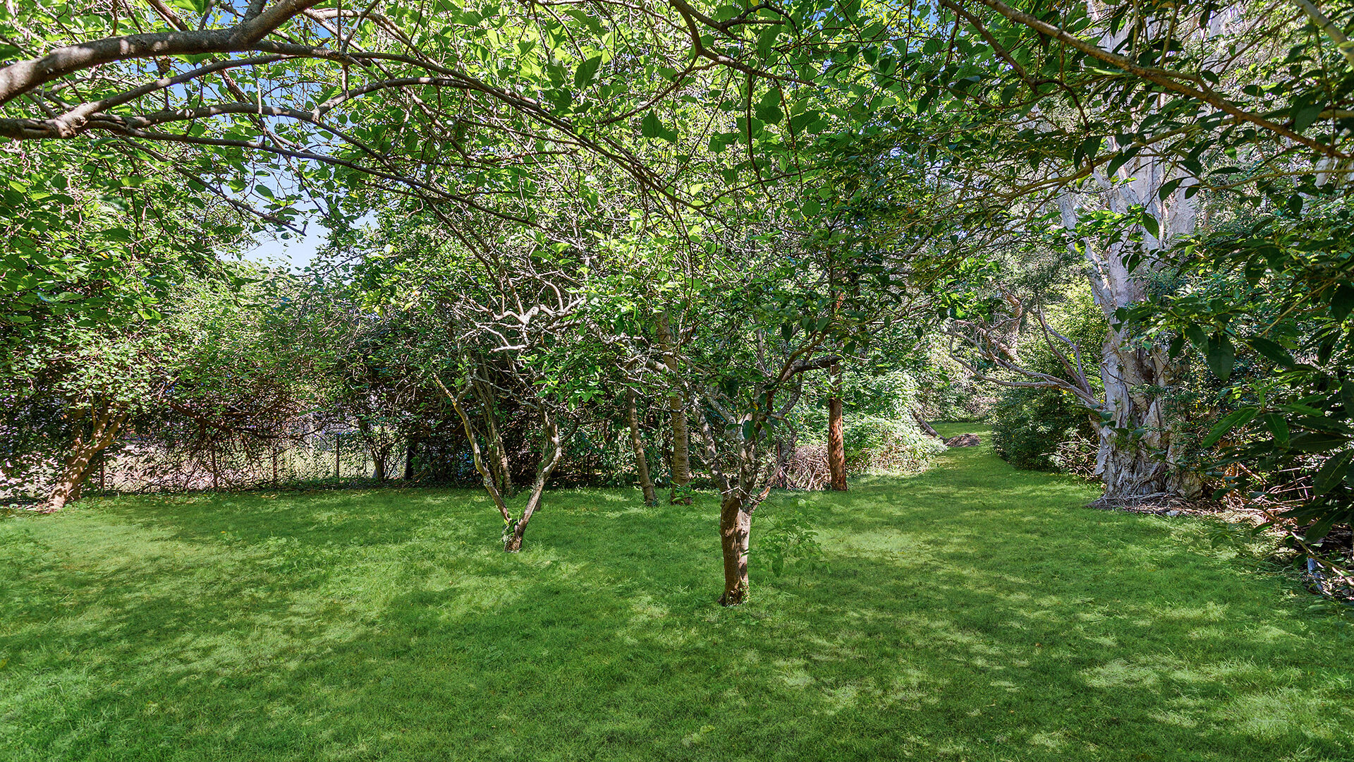Sold - 56 Redman Avenue - New Property in Thirroul - Real Estate by Vanessa Denison-Pender