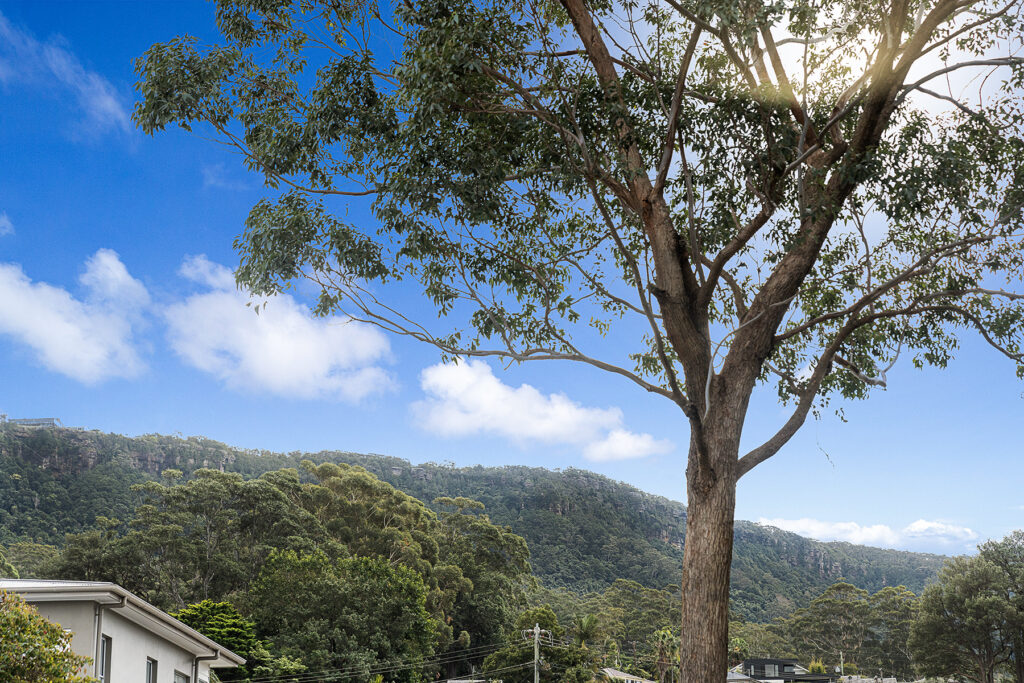 Sold - 40 George Street - New Property in Thirroul - Real Estate by Vanessa Denison-Pender