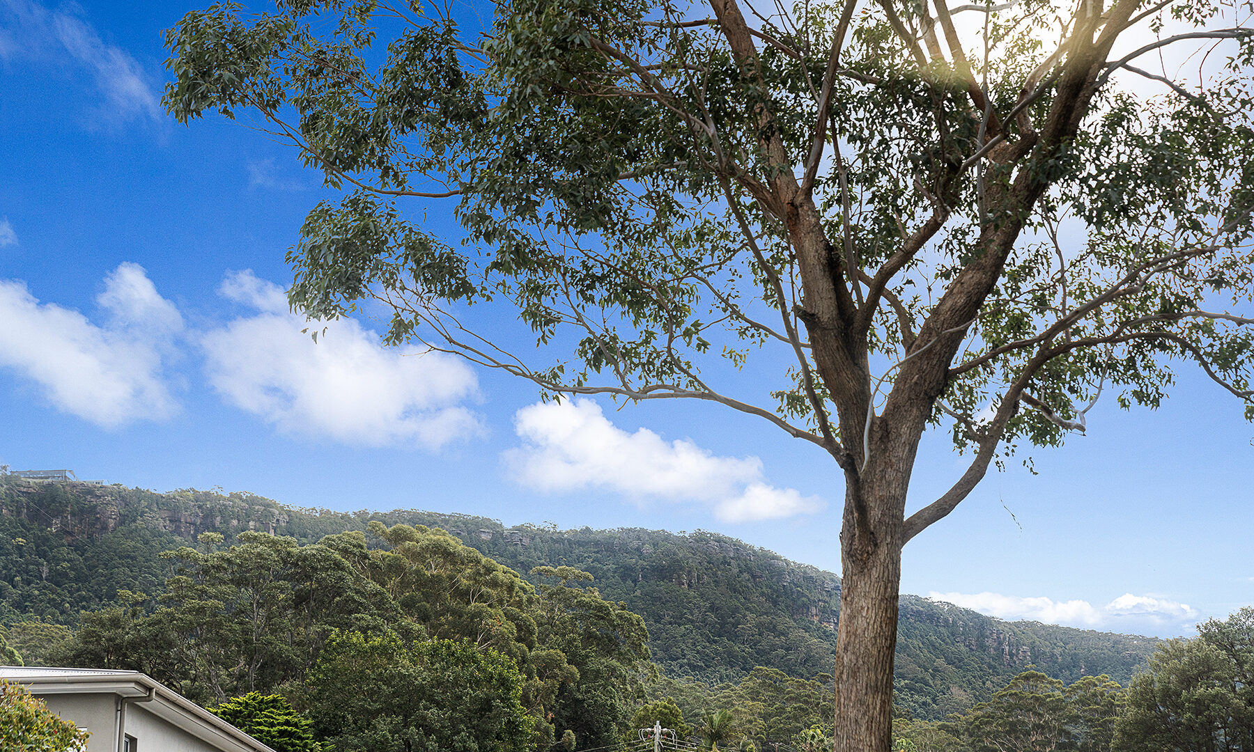 Sold - 40 George Street - New Property in Thirroul - Real Estate by Vanessa Denison-Pender