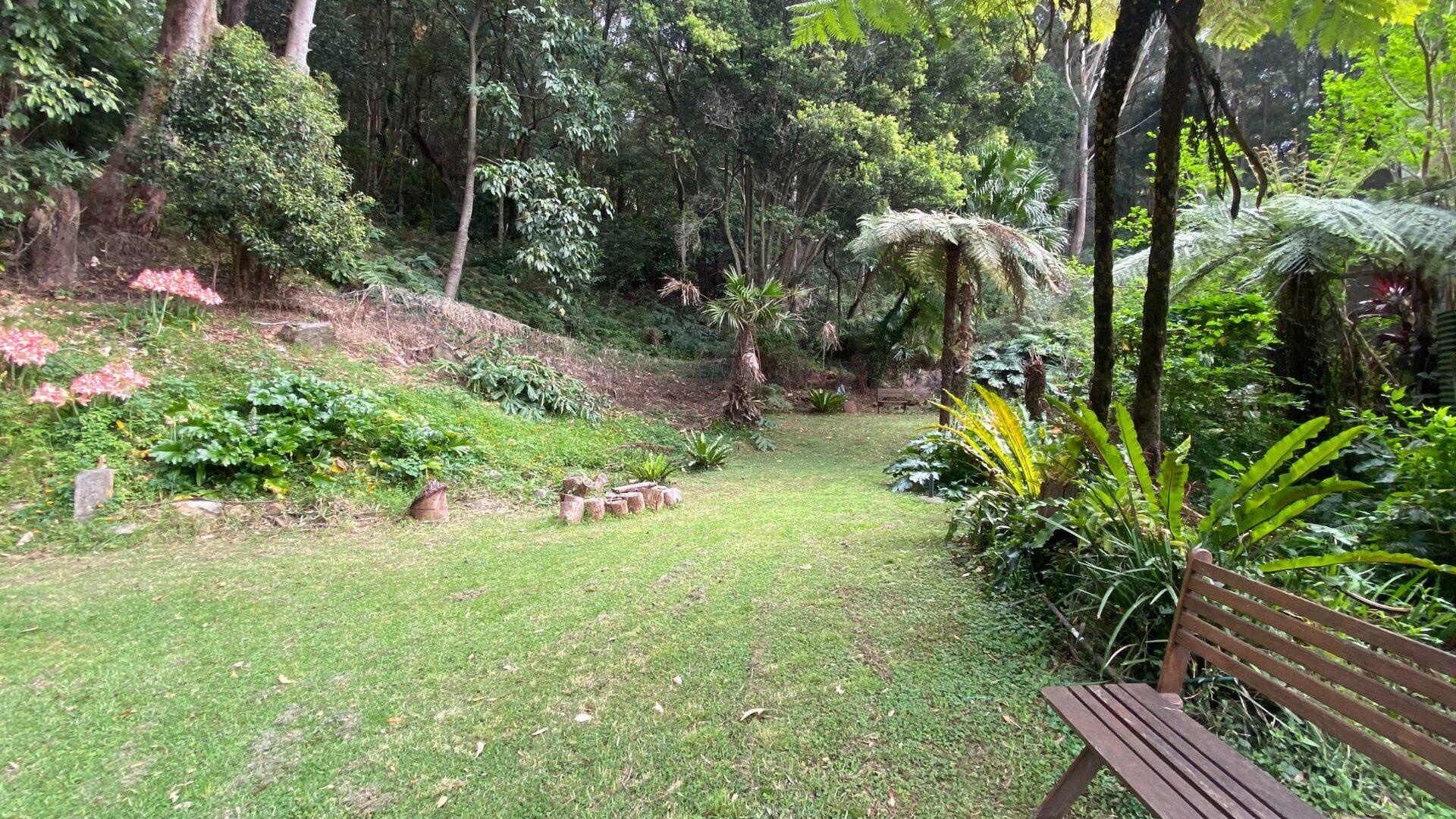 Sold - 2 Cokeworks Road - New Property in Coledale - Real Estate by Vanessa Denison-Pender