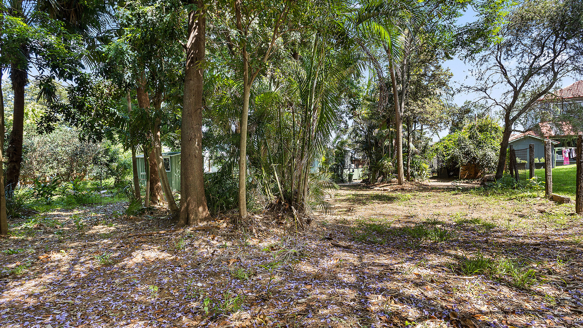 Sold - 15 Lachlan Street - New Property in Thirroul - Real Estate by Peter Armstrong