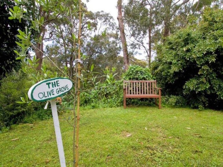 Sold - 20-22 Asquith Street - New Property in Austinmer - Real Estate by McGrath Wollongong