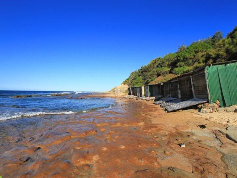 Sold - 12 O'Brien Street - New Property in Bulli - Real Estate by McGrath Wollongong