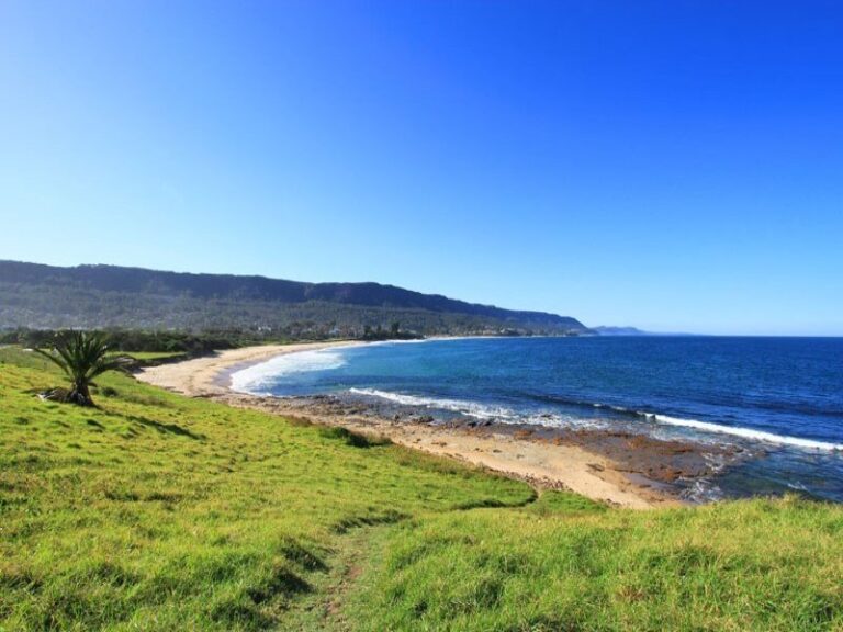 Sold - 12 O'Brien Street - New Property in Bulli - Real Estate by McGrath Wollongong