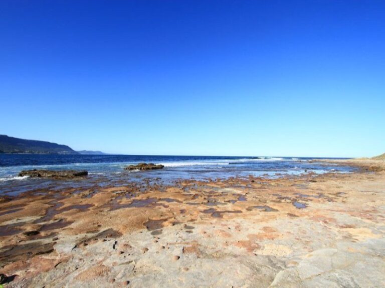 Sold - 12 O'Brien Street - New Property in Bulli - Real Estate by McGrath Wollongong