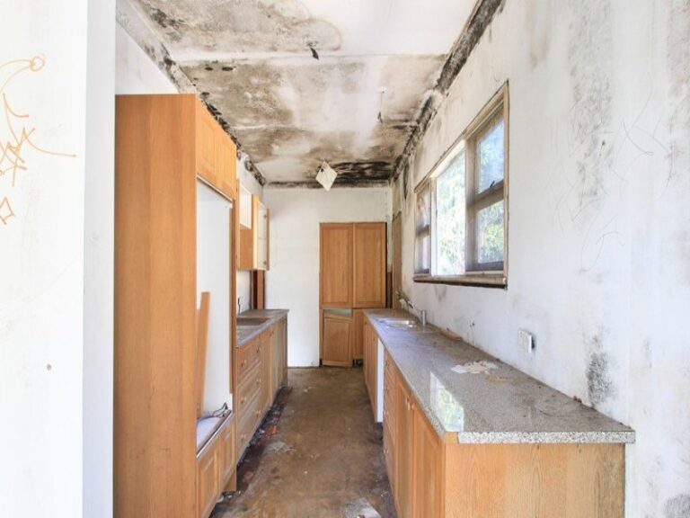 Sold - 1 Paradise Avenue - New Property in Mount Pleasant - Real Estate by McGrath Wollongong