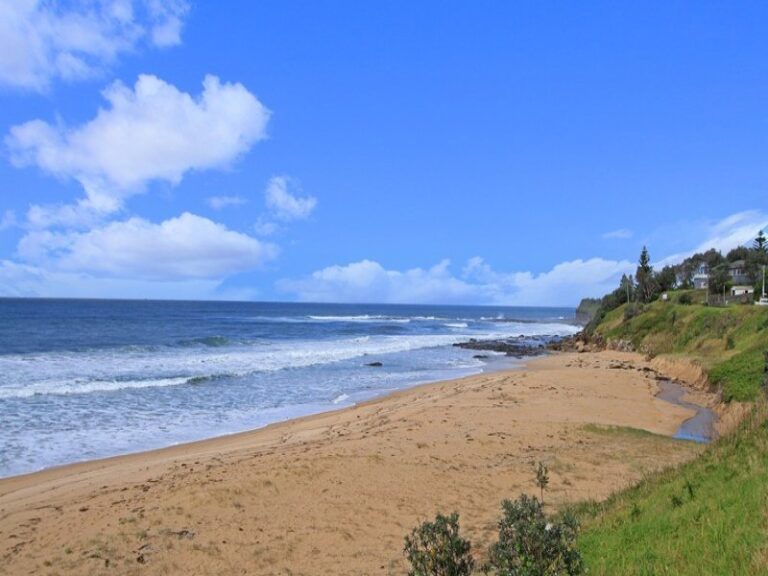 Sold - 123 Morrison Avenue - New Property in Wombarra - Real Estate by McGrath Wollongong