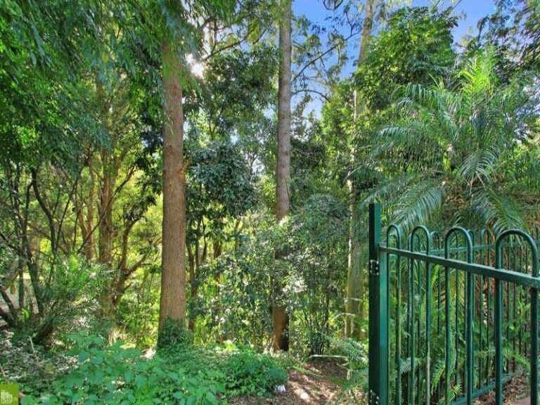 Sold - 45 Ashley Avenue - New Property in Farmborough Heights - Real Estate by McGrath Wollongong