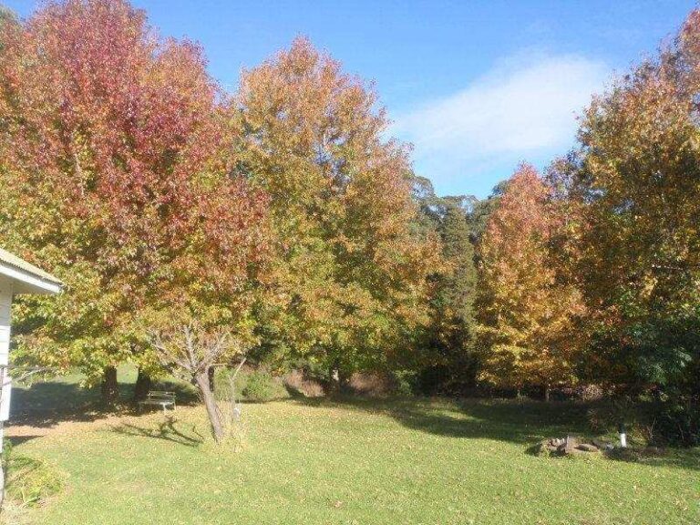 Sold - Lot 1 Araluen Avenue - New Property in Mount Kembla - Real Estate by McGrath Wollongong