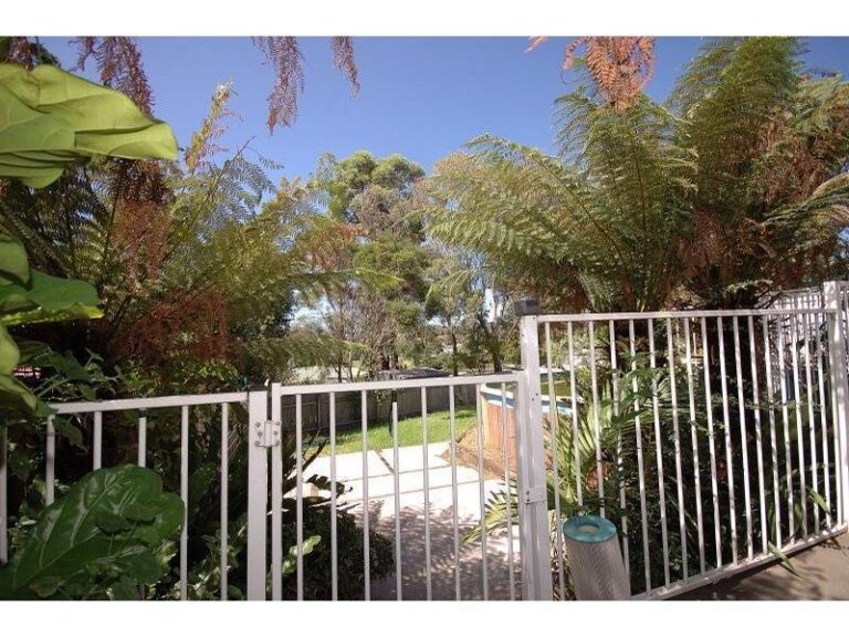 Sold - 25 Walang Avenue - New Property in Figtree - Real Estate by McGrath Wollongong
