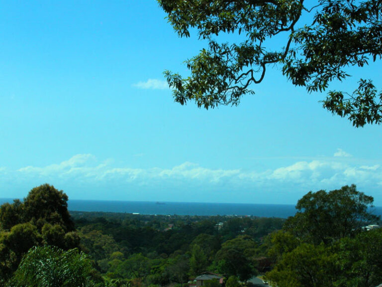 Sold - 38 Terrell Place - New Property in Balgownie - Real Estate by McGrath Wollongong