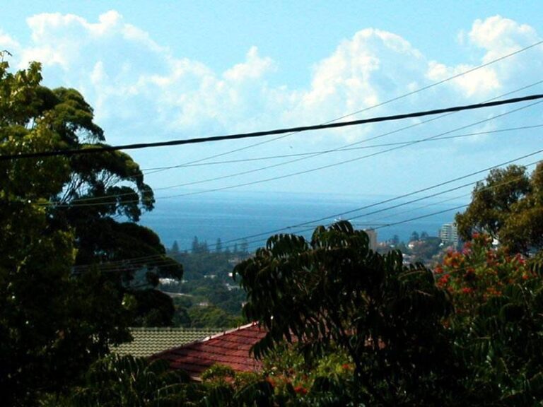 Sold - 28 Alvan Street - New Property in Mount Pleasant - Real Estate by McGrath Wollongong