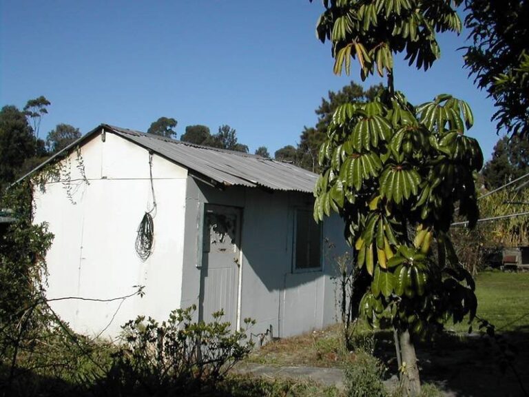 Sold - 9 Steel Street - New Property in Cringila - Real Estate by McGrath Wollongong