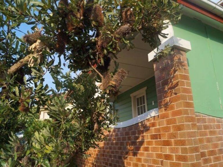 Sold - 43 Bligh Street - New Property in Wollongong - Real Estate by McGrath Wollongong
