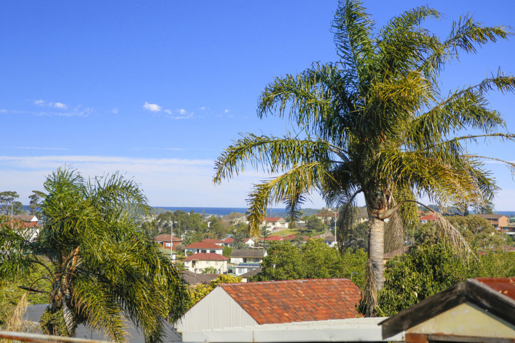 Sold - 41 Lake Heights Road - New Property in Lake Heights - Real Estate by McGrath Wollongong