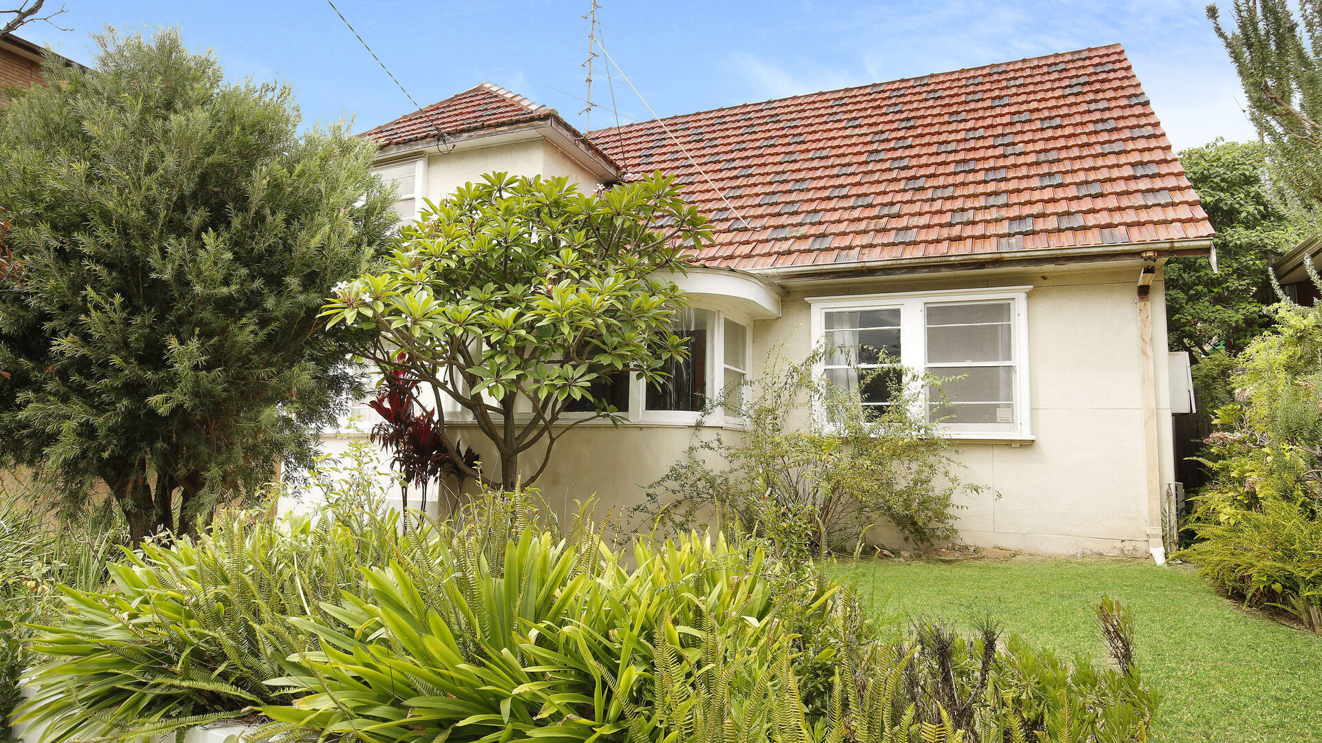 Sold - 3 Noel Street - New Property in North Wollongong - Real Estate by McGrath Wollongong