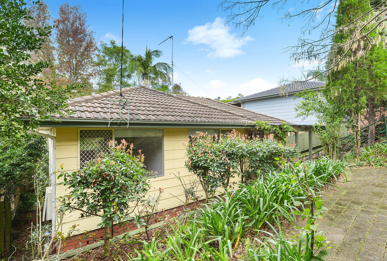 Sold - 57 Stanley Avenue - New Property in Farmborough Heights - Real Estate by 