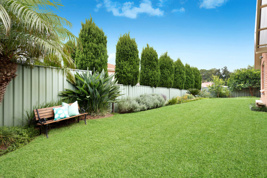 Sold - 17 Lyrebird Way - New Property in Farmborough Heights - Real Estate by 