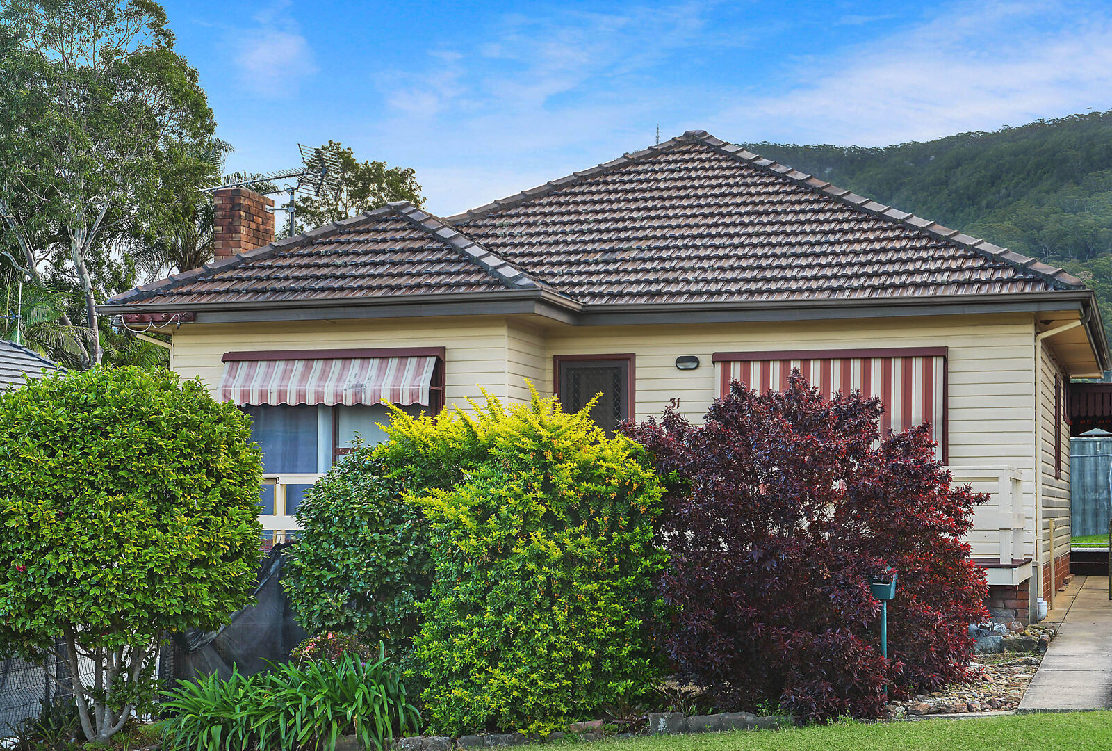 Sold - 31 Wilga Street - New Property in Corrimal - Real Estate by McGrath Wollongong