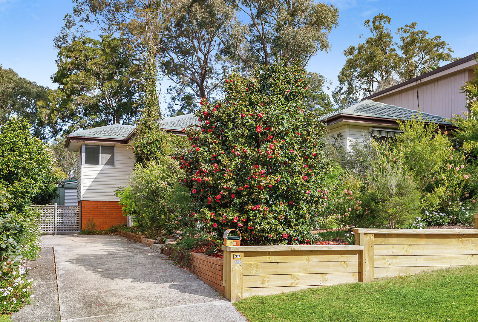 Sold - 317 Farmborough Road - New Property in Farmborough Heights - Real Estate by 