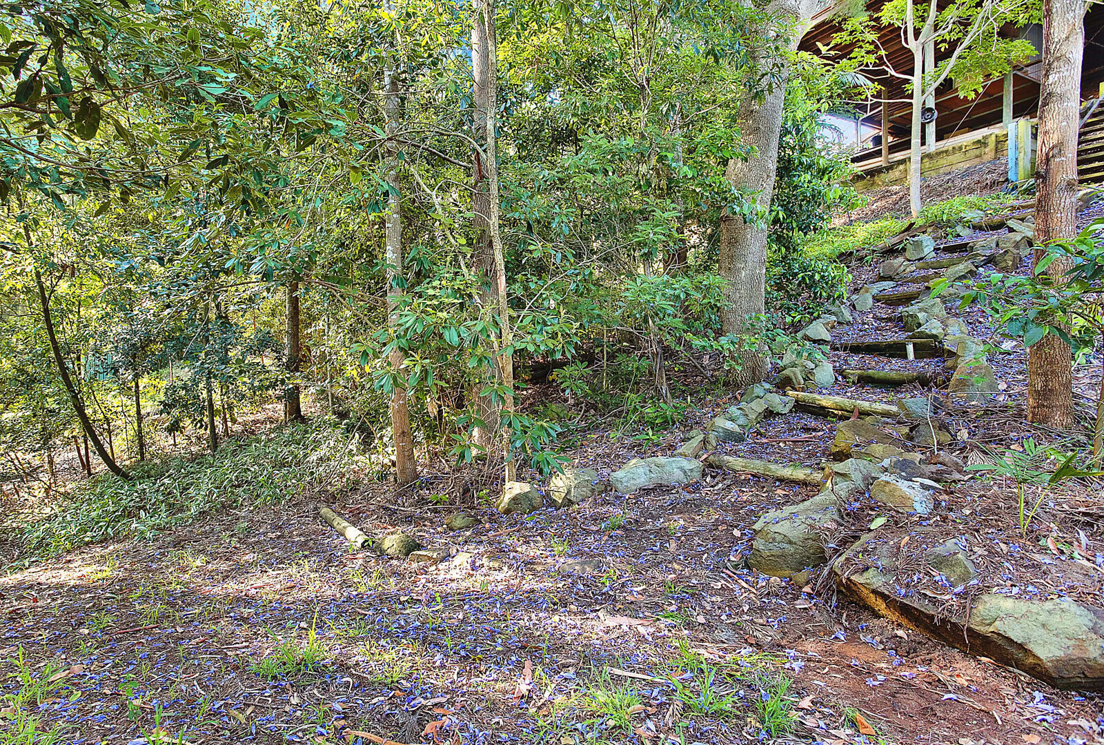 Sold - 39 Stanley Avenue - New Property in Farmborough Heights - Real Estate by 