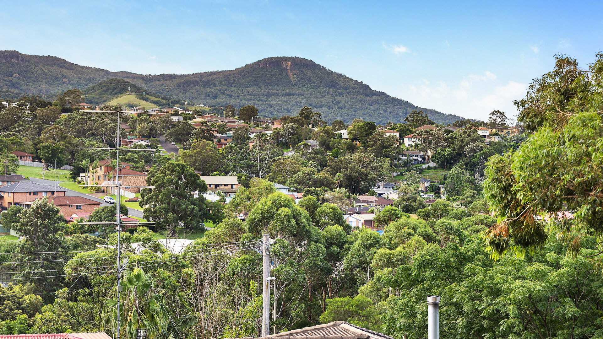 Sold - 58 Ashley Avenue - New Property in Farmborough Heights - Real Estate by 