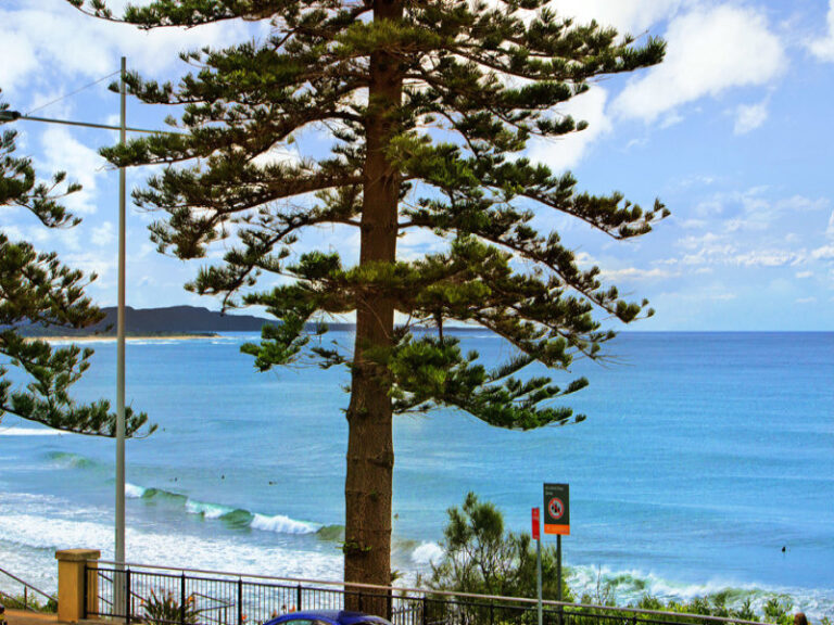 Sold - 1/48-50 Cliff Road - New Property in Wollongong - Real Estate by Christian Zeidler