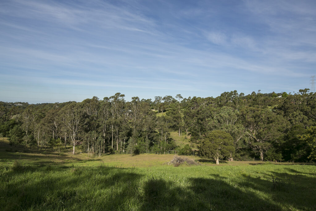 Sold - 211 Cordeaux Road - New Property in Mount Kembla - Real Estate by Christian Zeidler