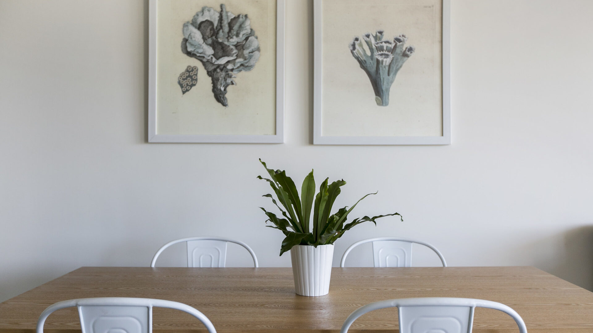 22/14-16 Virginia Street, North Wollongong NSW 2500 - McGrath Illawarra