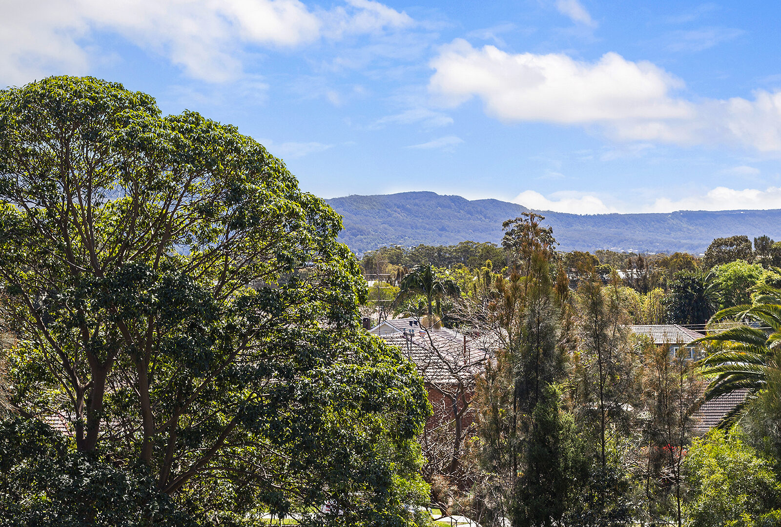 18/60 Bourke Street, North Wollongong NSW 2500 - photo 14